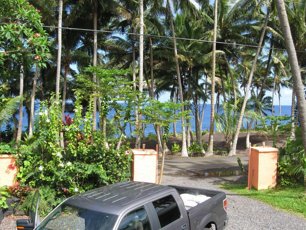 The Dolphin Cottage At Kehena Beach מראה חיצוני תמונה