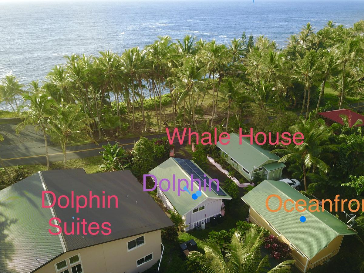 The Dolphin Cottage At Kehena Beach מראה חיצוני תמונה