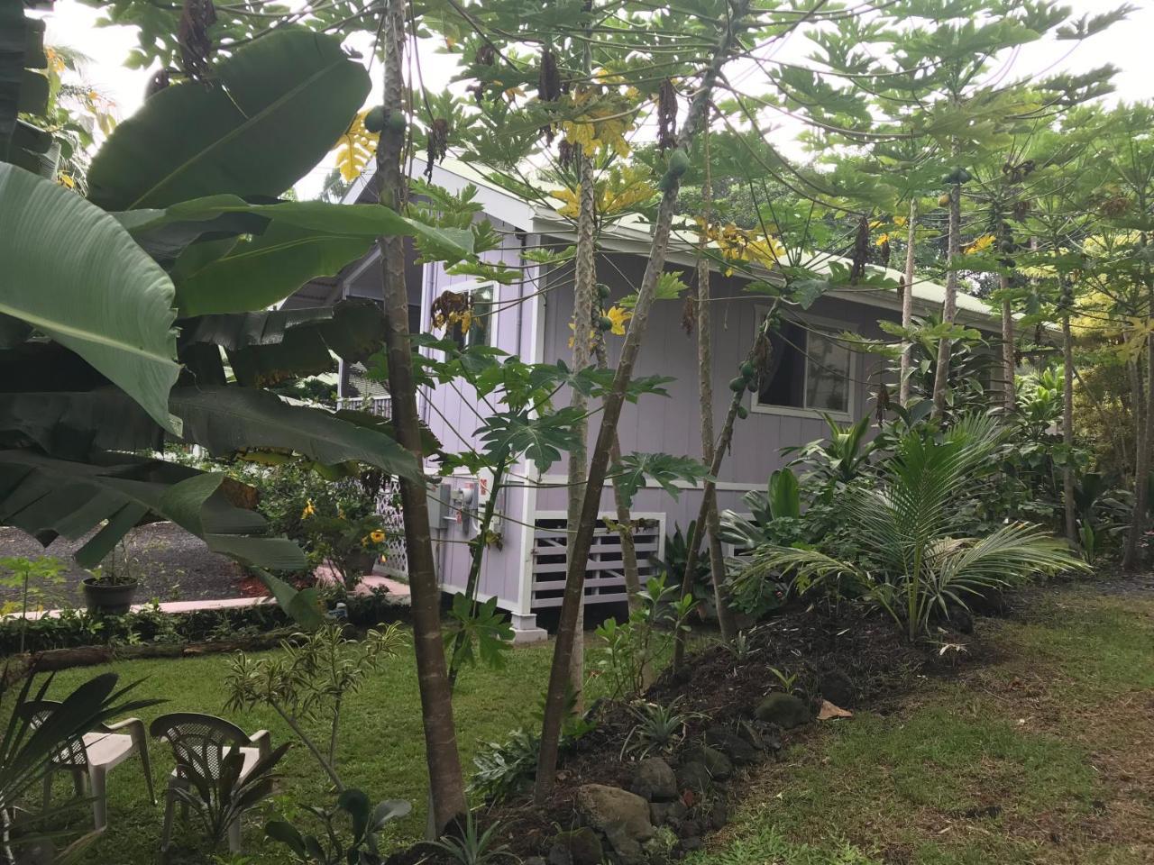 The Dolphin Cottage At Kehena Beach מראה חיצוני תמונה